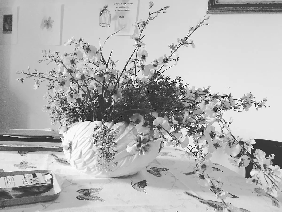 Bed And Breakfast San Michele Pisa Italy